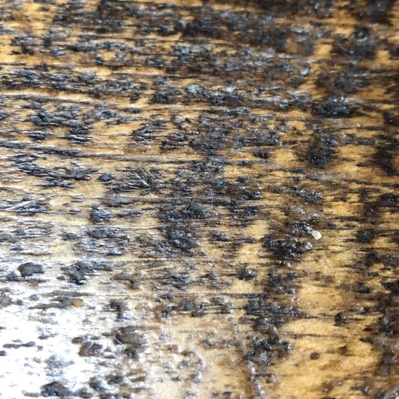 Meet your Posher, Jaron - Picture 1 of 1